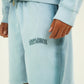 Blue Sprayed Shorts