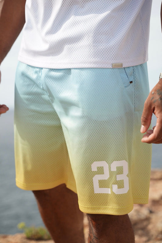 Gradient Mesh Shorts